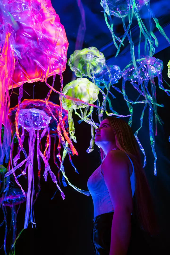 Mooca Plaza Shopping recebe exposição imersiva “Oceano Vivo”